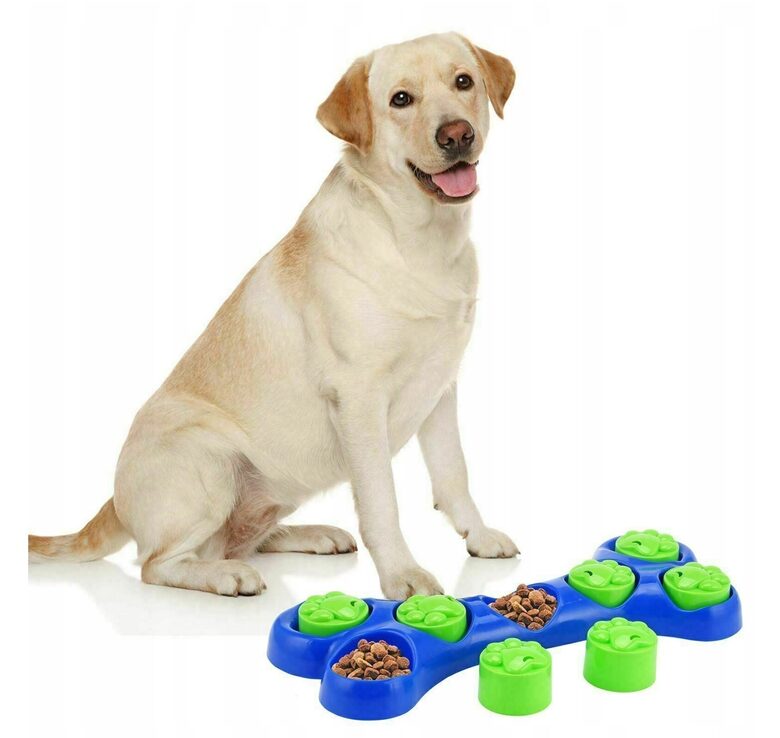 Educational toy for dogs, 7 compartments